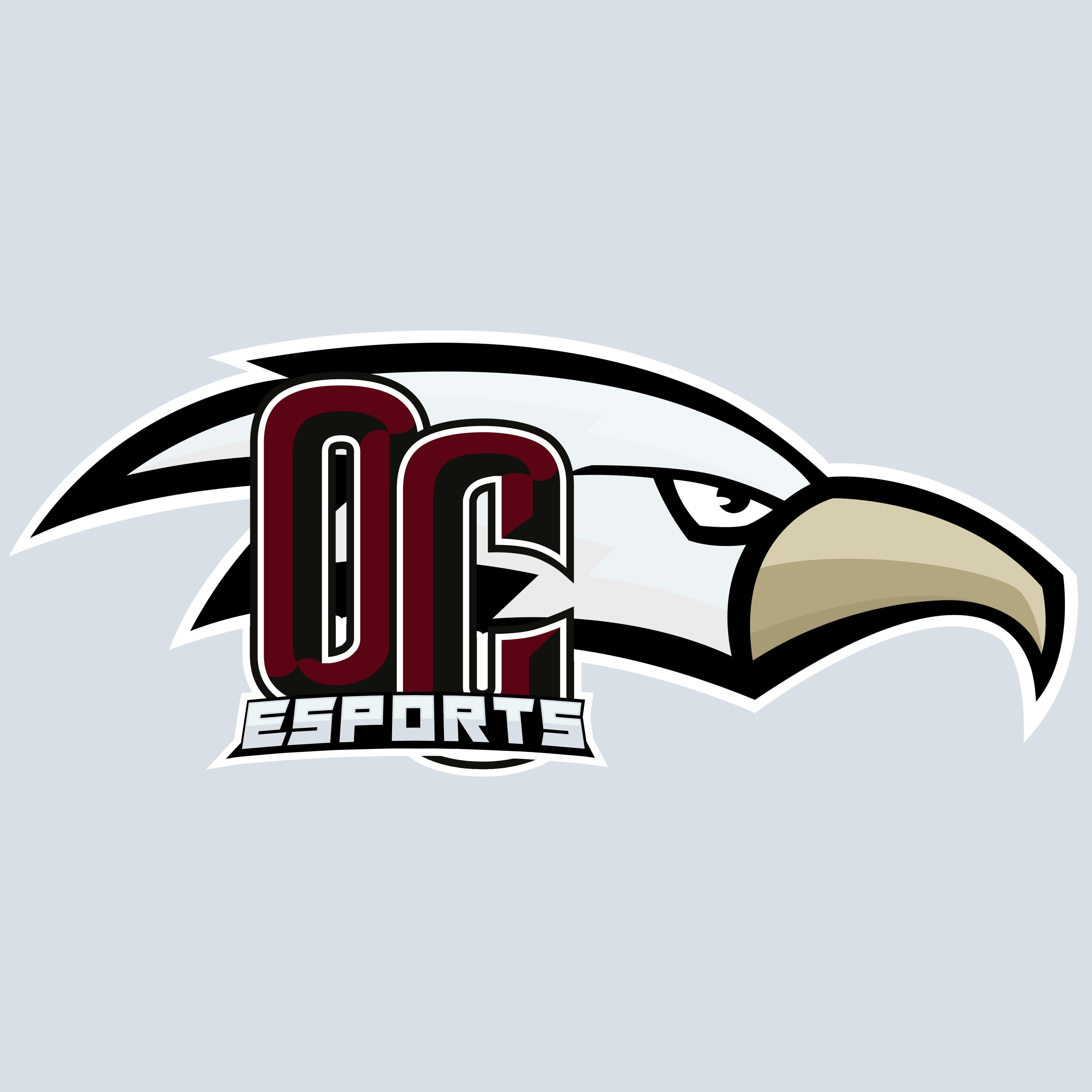 OC ESports Silver Logo