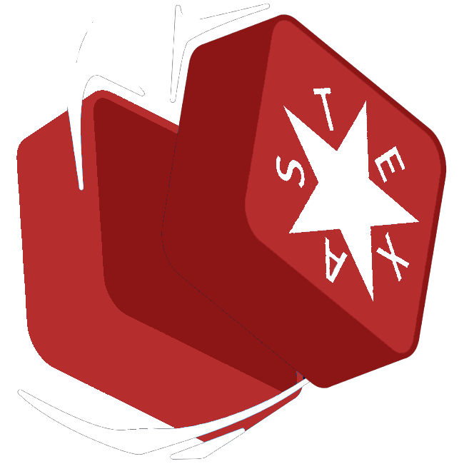 Lone Star Sabers Logo